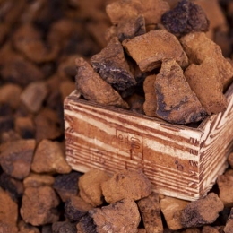 Chaga Glycoprotein-0.5B