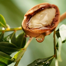 Biorex-Argan